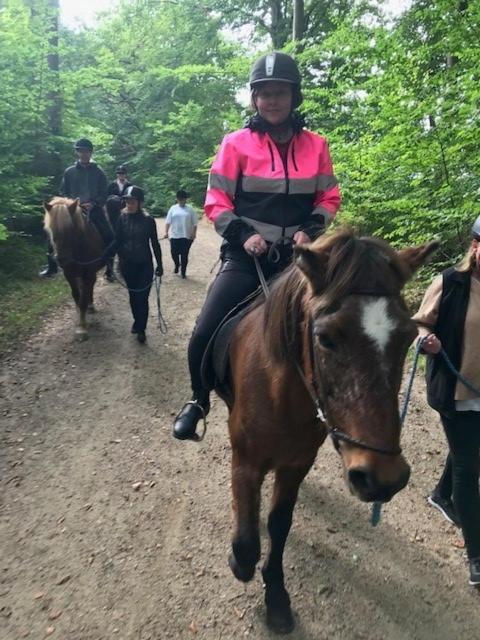 Dyrlundgaard Tilbyder Charmerende Ferielejlighed. Helsinge Buitenkant foto